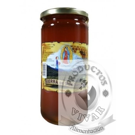 Panal de miel grande  Venta de miel artesanal de Sierra de Gata
