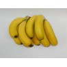 Platano de Canarias