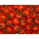 Tomates Rama