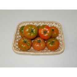 Tomates de Ensalada