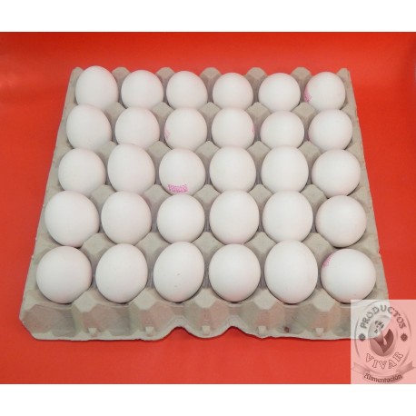 Cartón 30 Huevos Clase L Blanco