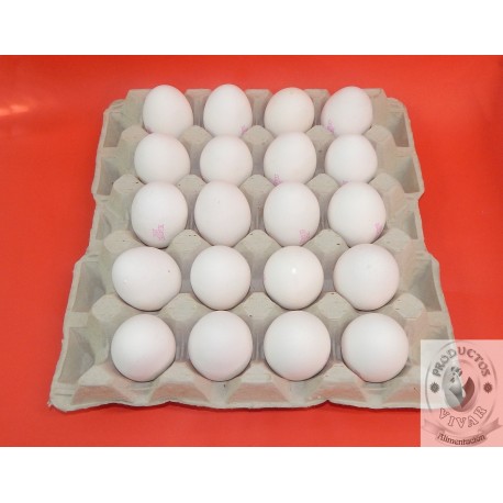 Cartón 20 Huevos Clase XL Blanco
