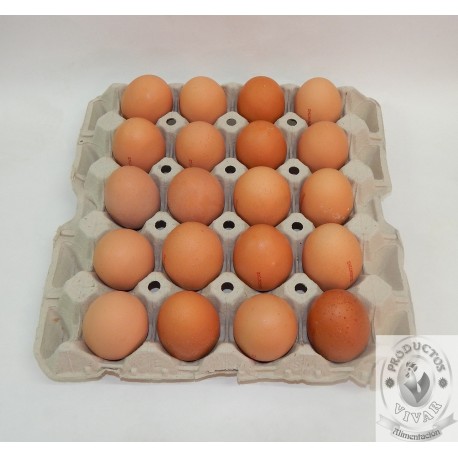 Cartón 20 Huevos Clase XL Moreno